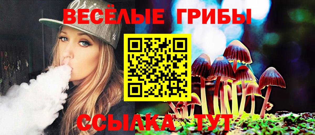 Галлюциногенные грибы MAGIC MUSHROOMS  Вход с VPN  Ишим 